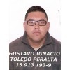 GUSTAVO IGNACIO TOLEDO PERALTA