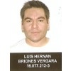 LUIS BRIONES VERGARA