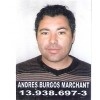 EDUARDO ANDRES BURGOS MARCHANT