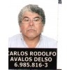 CARLOS AVALOS DELSO