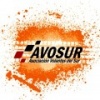 ASOCIACION DEPORTIVA REGIONAL AVOSUR